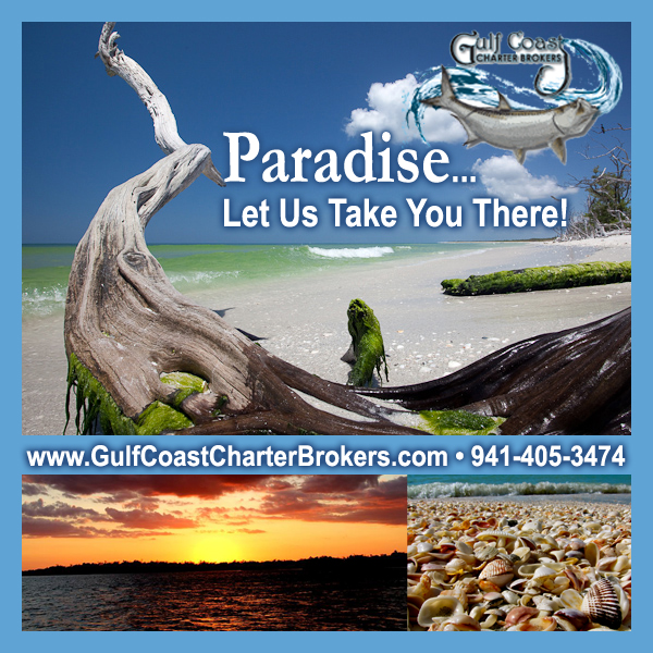 Sunset Cruises & Water Taxi Service Now Available